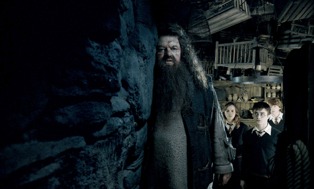 Hagrid, Harry, Hermione, and Ron from Harry Potter