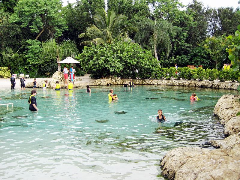 SeaWorld's Discovery Cove