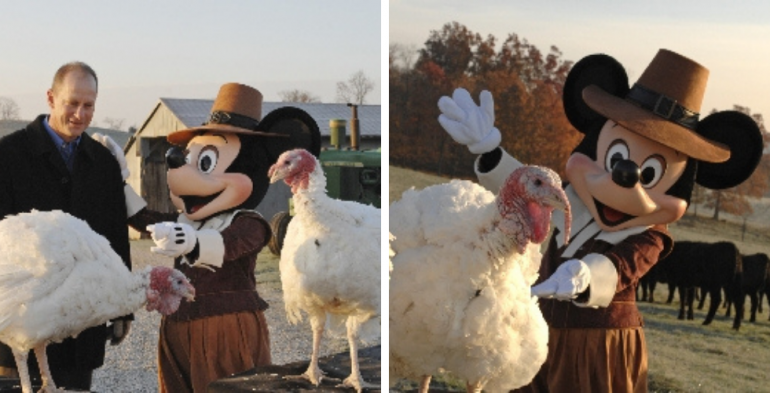 DePaoli-on-DeParks-Thanksgiving-980x500-1.png