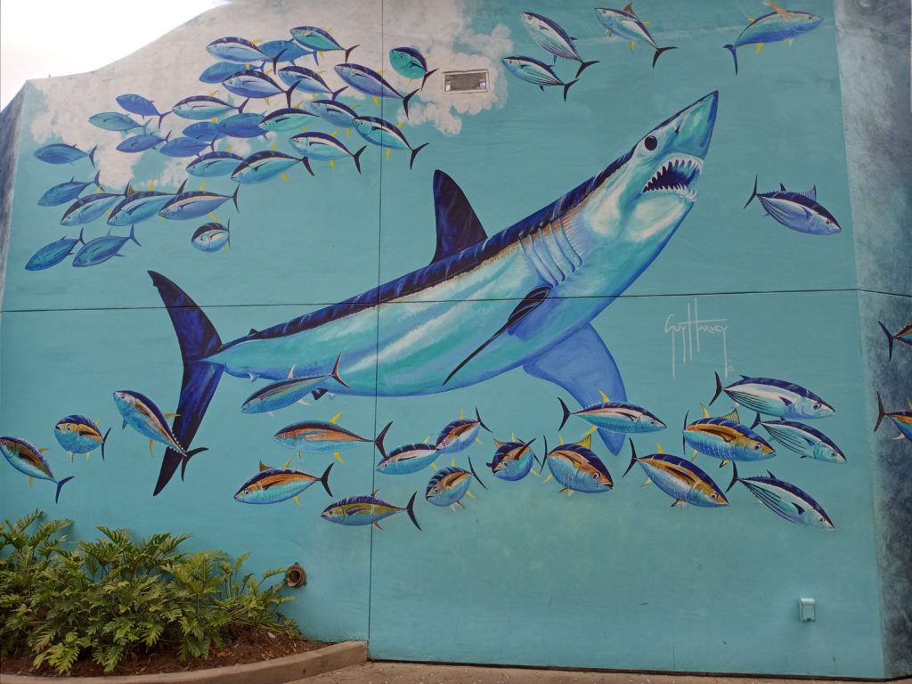 Guy Harvey Mako mural at SeaWorld Orlando