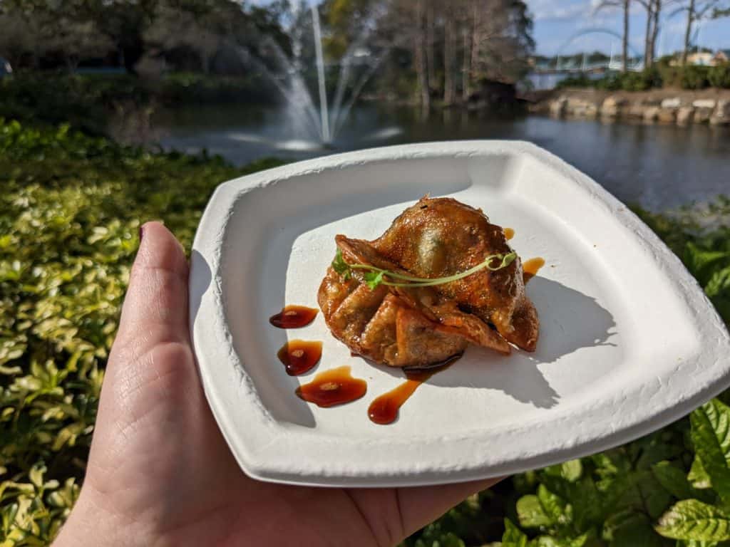 Asian vegetables served atop Ponzu sauce