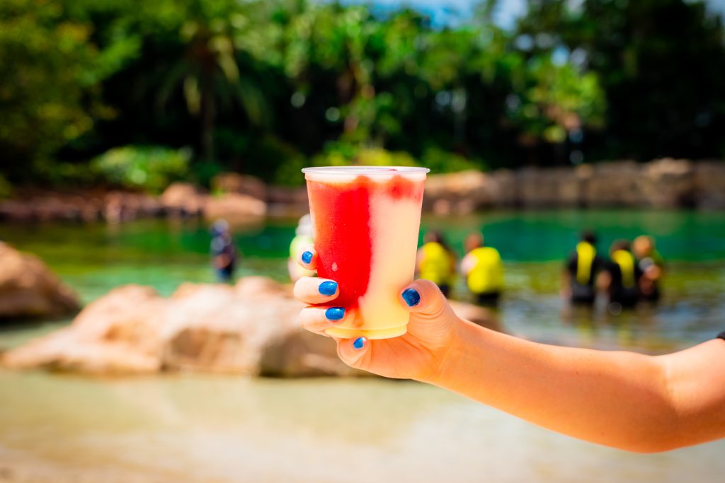 Discovery Cove Drinks