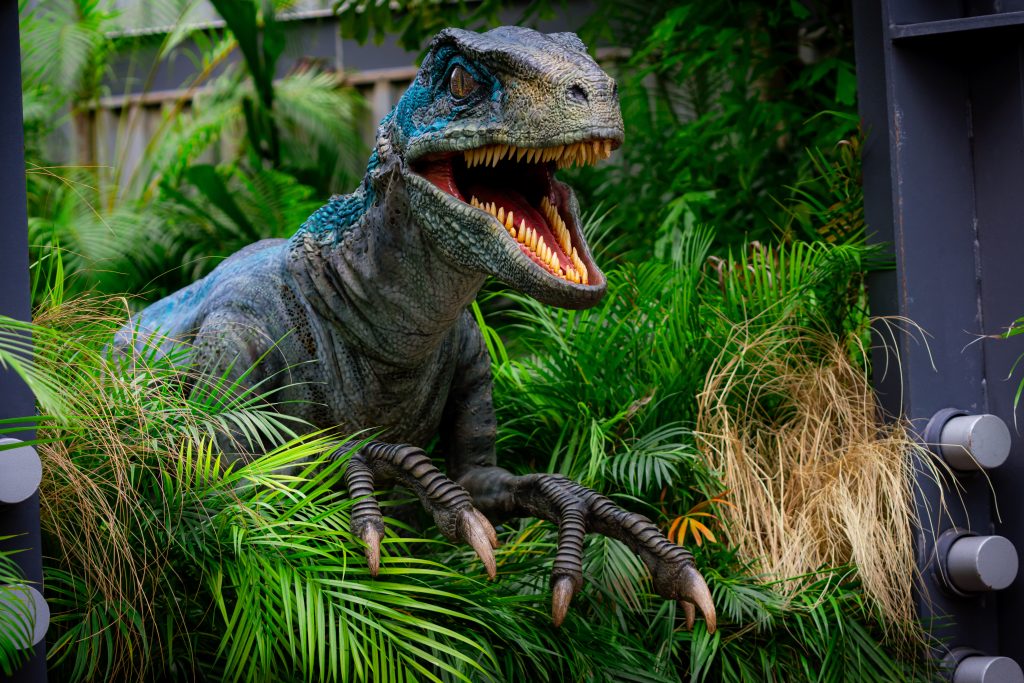 Raptor Encounter at Islands of Adventure