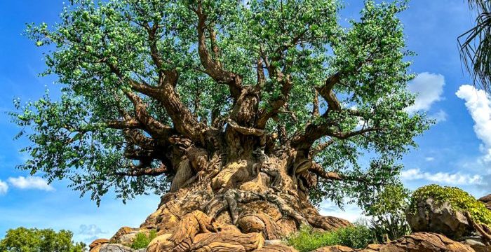 2024-wdw-disneys-animal-kingdom-tree-of-life-stock-700x525.jpg