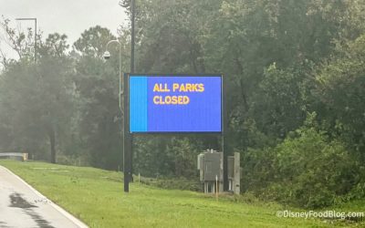 2024-wdw-hurricane-milton-impact-all-parks-closed-sign-rainy-overcast-weather-700x420.jpg