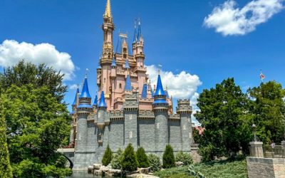 2024-wdw-Magic-Kingdom-cinderella-castle-stock-700x525.jpg